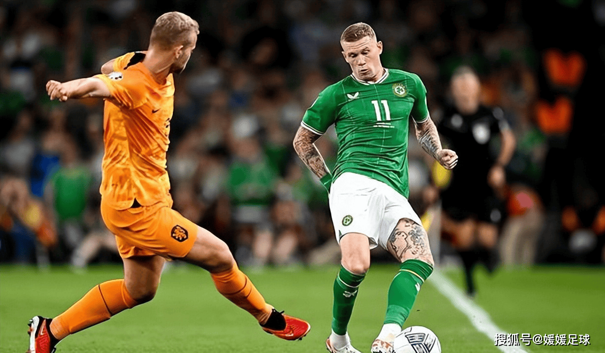 爱尔兰队在赛场上取得胜利