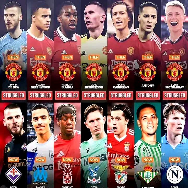 开云下载-主力球员伤愈回归，球队阵容实力更上一层楼