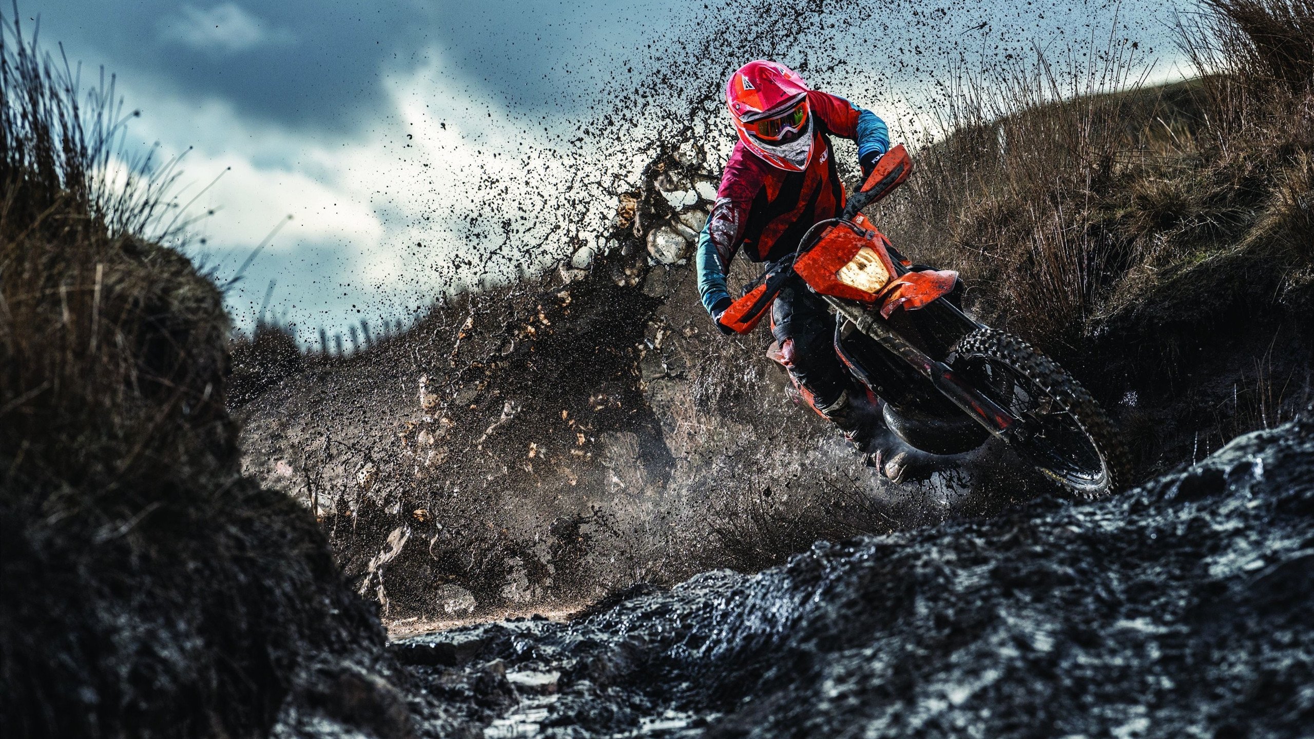 奥利维耶的权杖,悬崖边,他为希腊续写神话